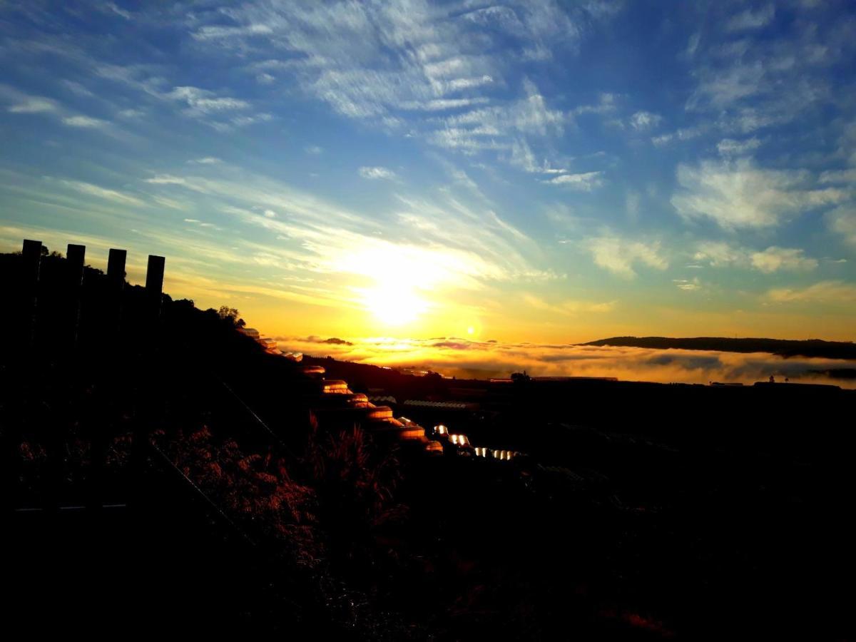 Canh Dong May Homestay ดาลัด ภายนอก รูปภาพ